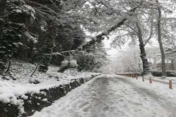 زمستان در دانشگاه